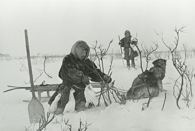 Без названия. Георгий Липскеров, 1949 год, Архангельская обл., Ненецкий национальный округ, г. Нарьян-Мар, МАММ/МДФ.