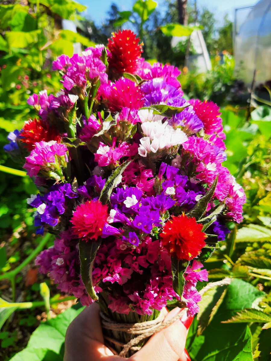 Букет из статицы и гомфрены.