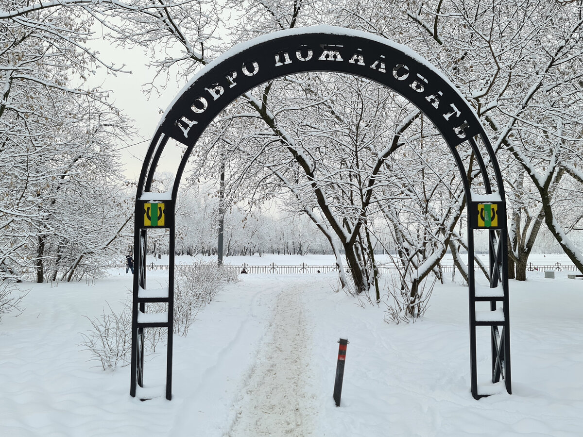 Большой Перовский пруд, фото автора