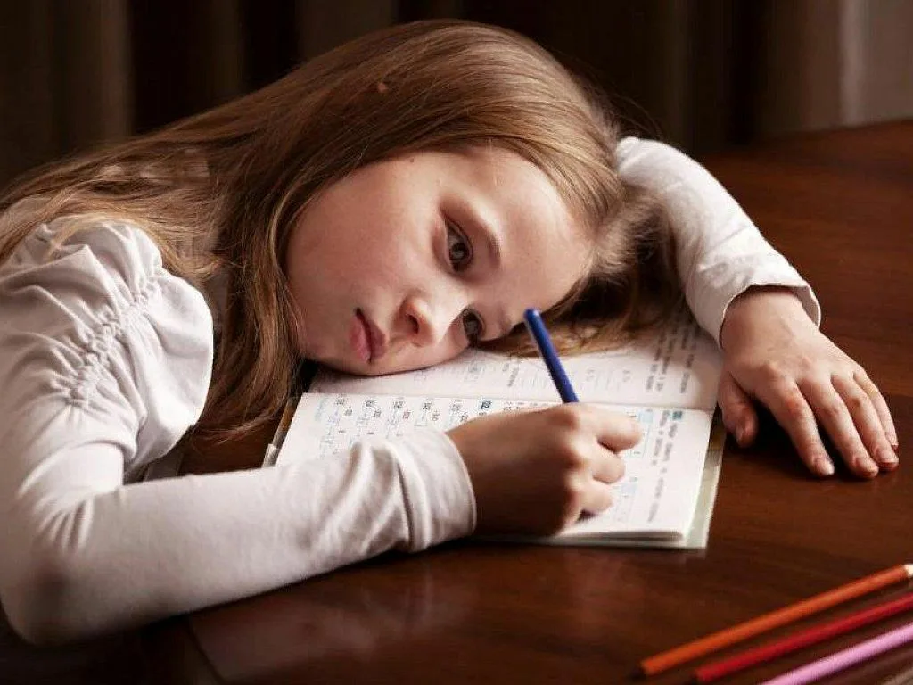 Фото из открытых источников Яндекс 