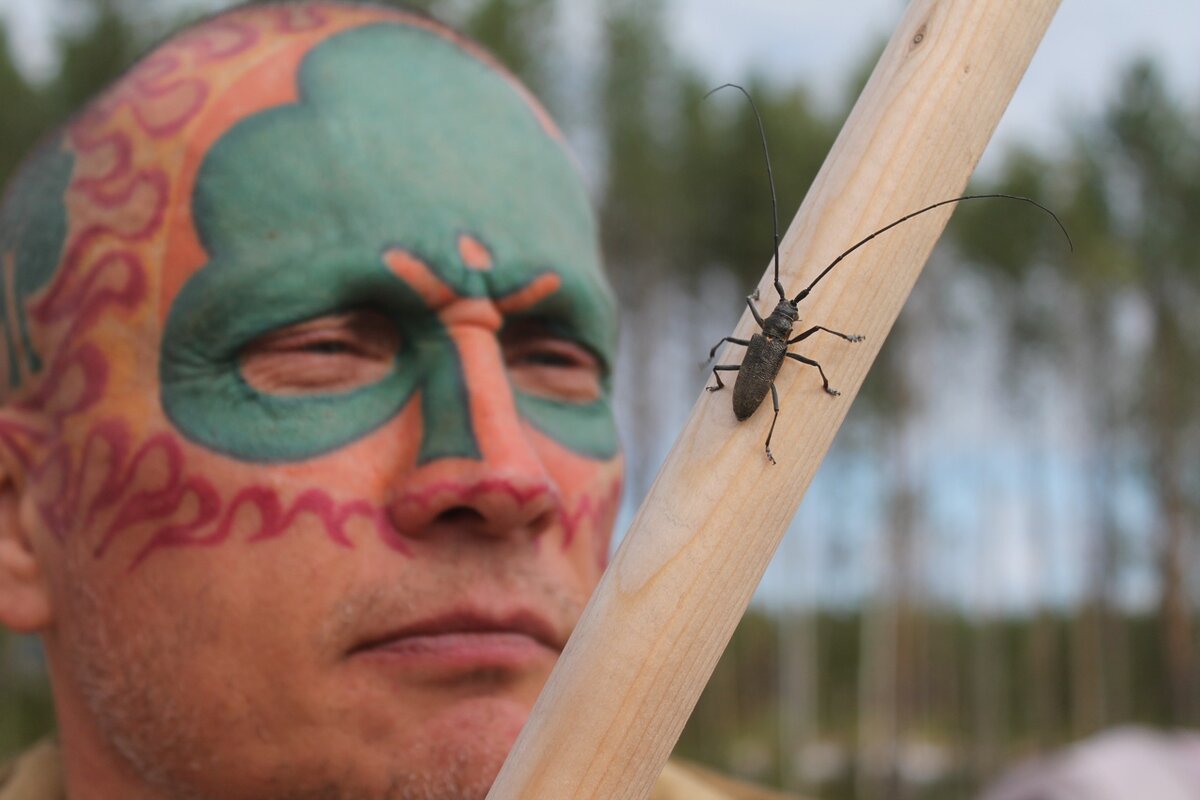 Древарх на Шиесе.