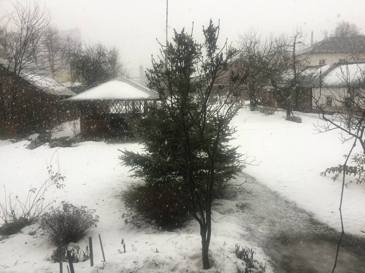 фото автора