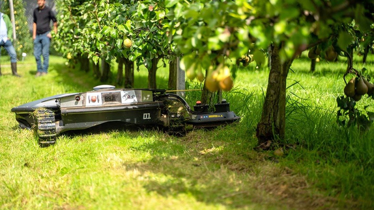 Scarabaeus аккуратно работает с деревьями, эффективно скашивает всю траву между стволами. Фото: Официальный сайт Bruggli Industrie