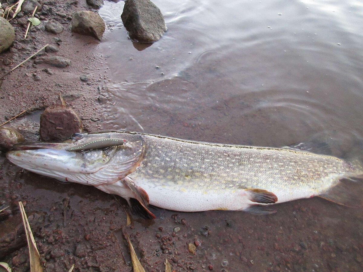 Источник: manrule.ru