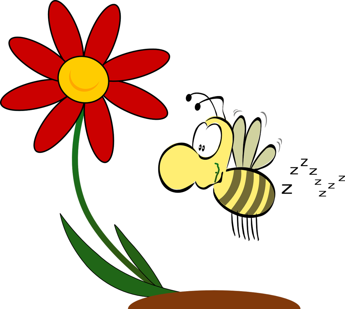 Например, пчелка не может получить осиную талию. Фото с бесплатного фотостока Pixabay