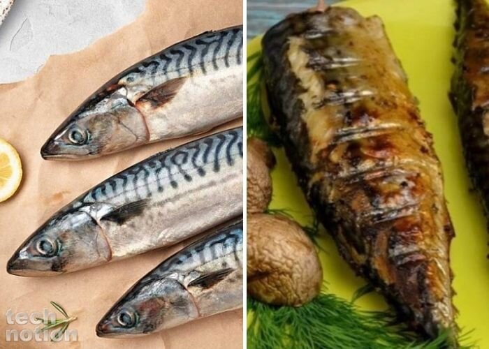 Скумбрия недорогая, но очень вкусная рыба