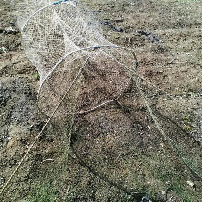Раколовка мережа 610 430 200 мм. Мережи верши. Рыболовные вентери мережи верши. Раколовка мережа 610 430 200 мм. Мережа вентерь.
