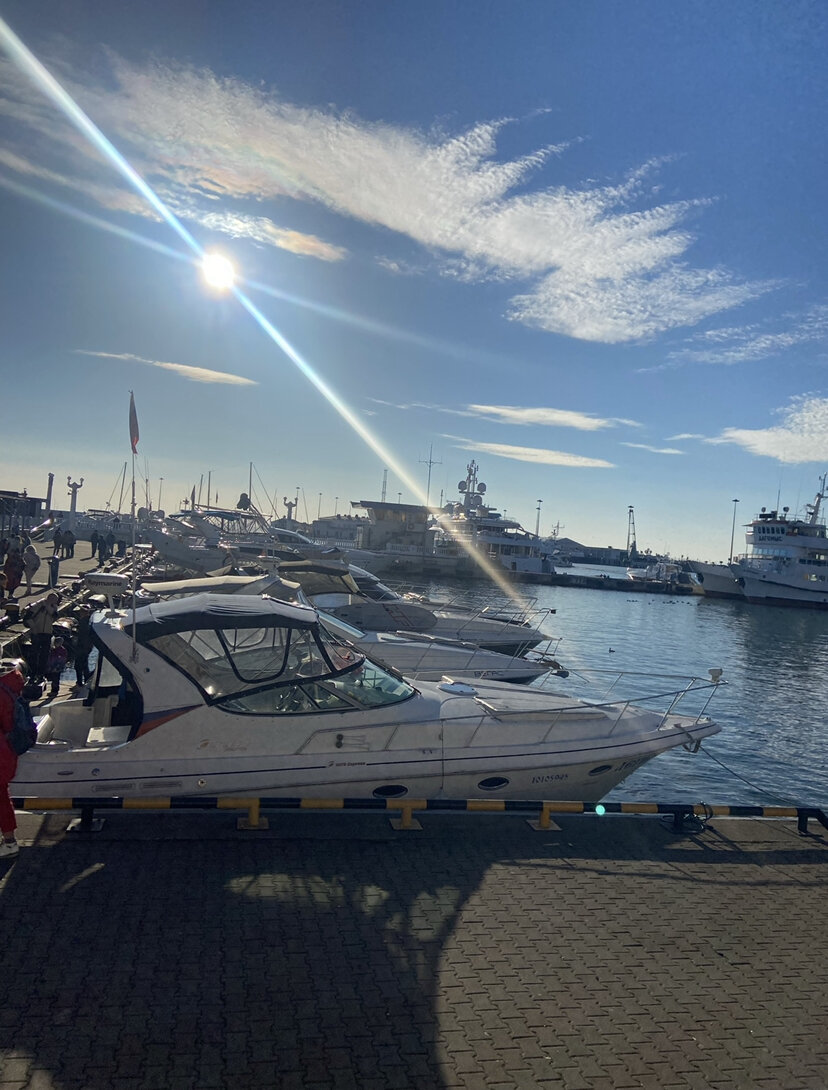 Февраль 2022. Г. Сочи . Температура воздуха примерно + 15