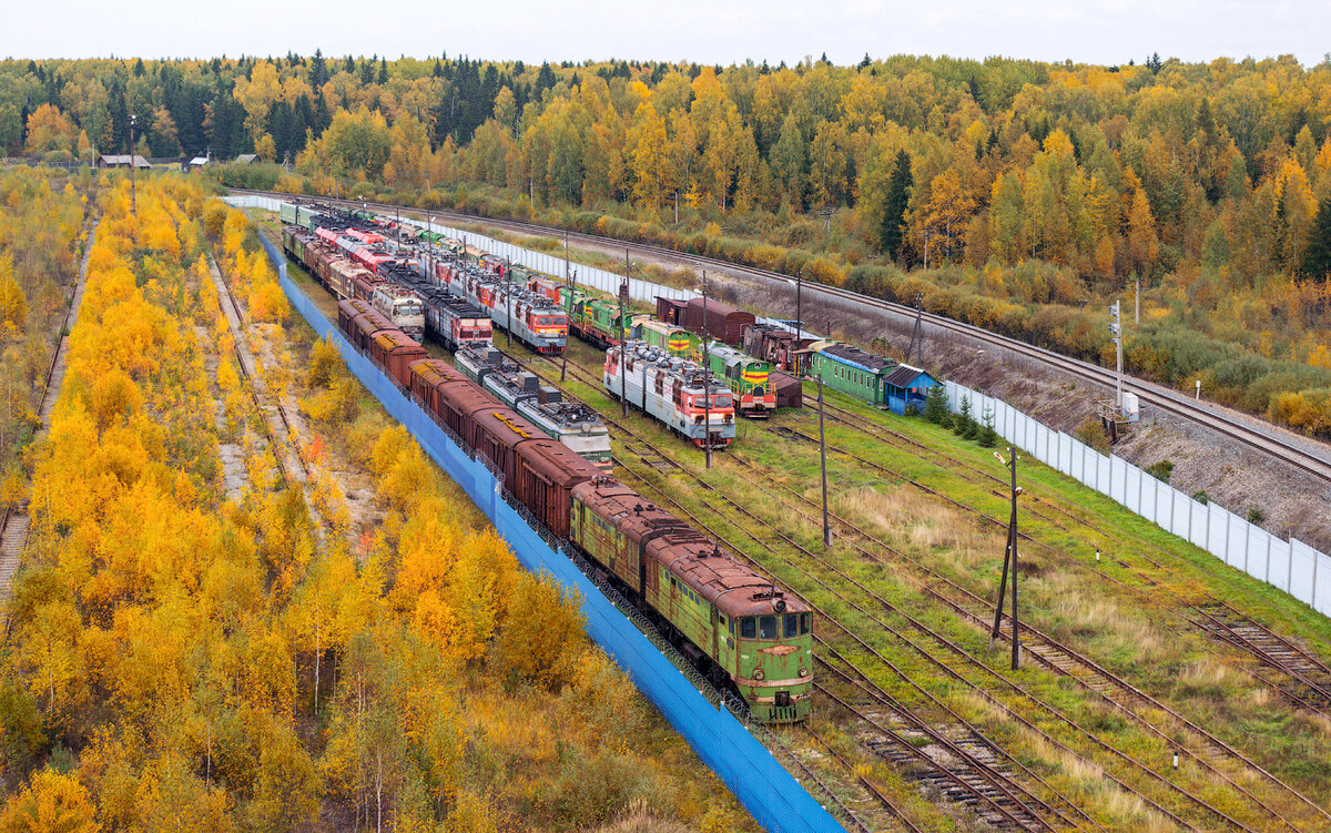 railgallery.ru фото vavilove