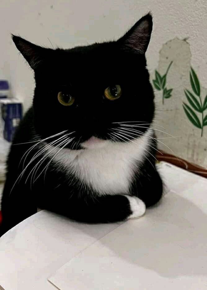 иллюстрация из яндекс картинки.