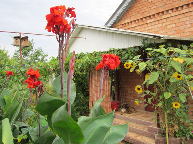 Филя и без цепи знает свое место