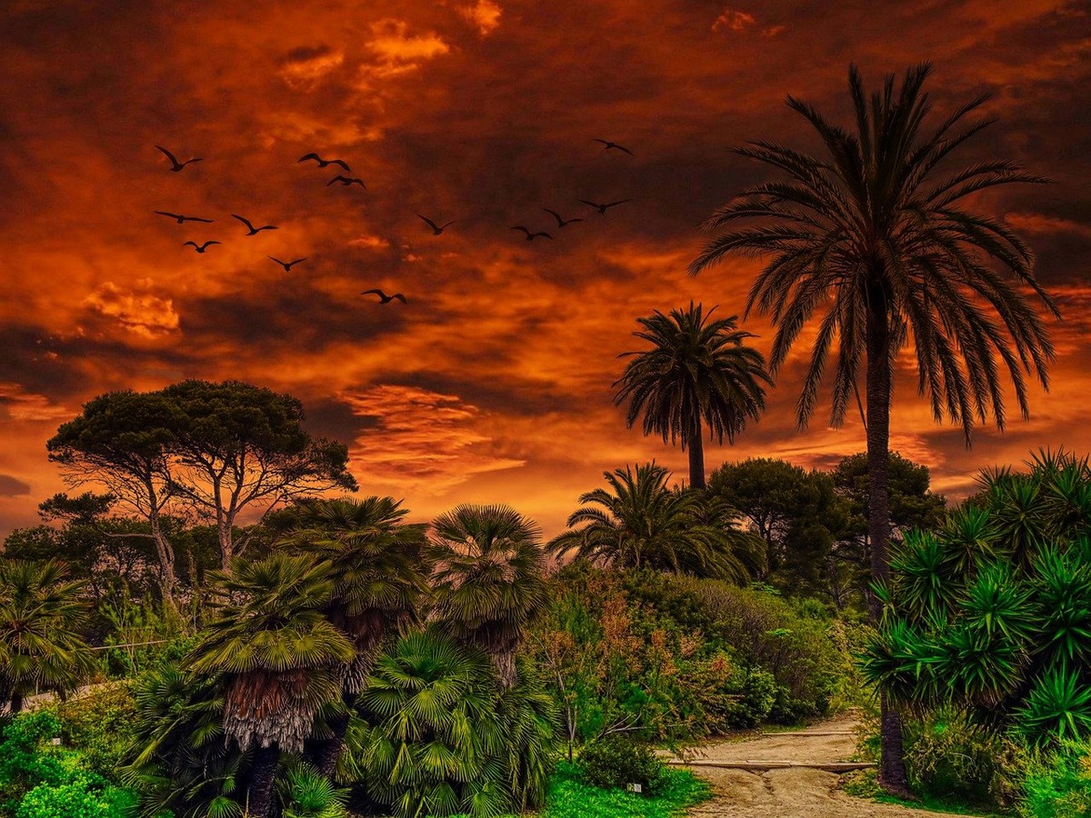 Картинка с бесплатного фотостока https://pixabay.com , автор Jobove