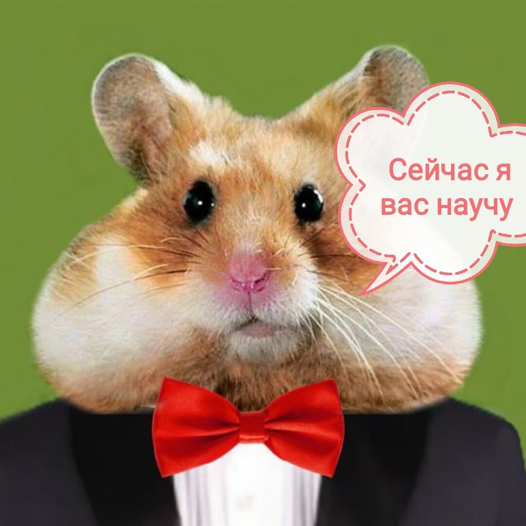 Типичный учитель 