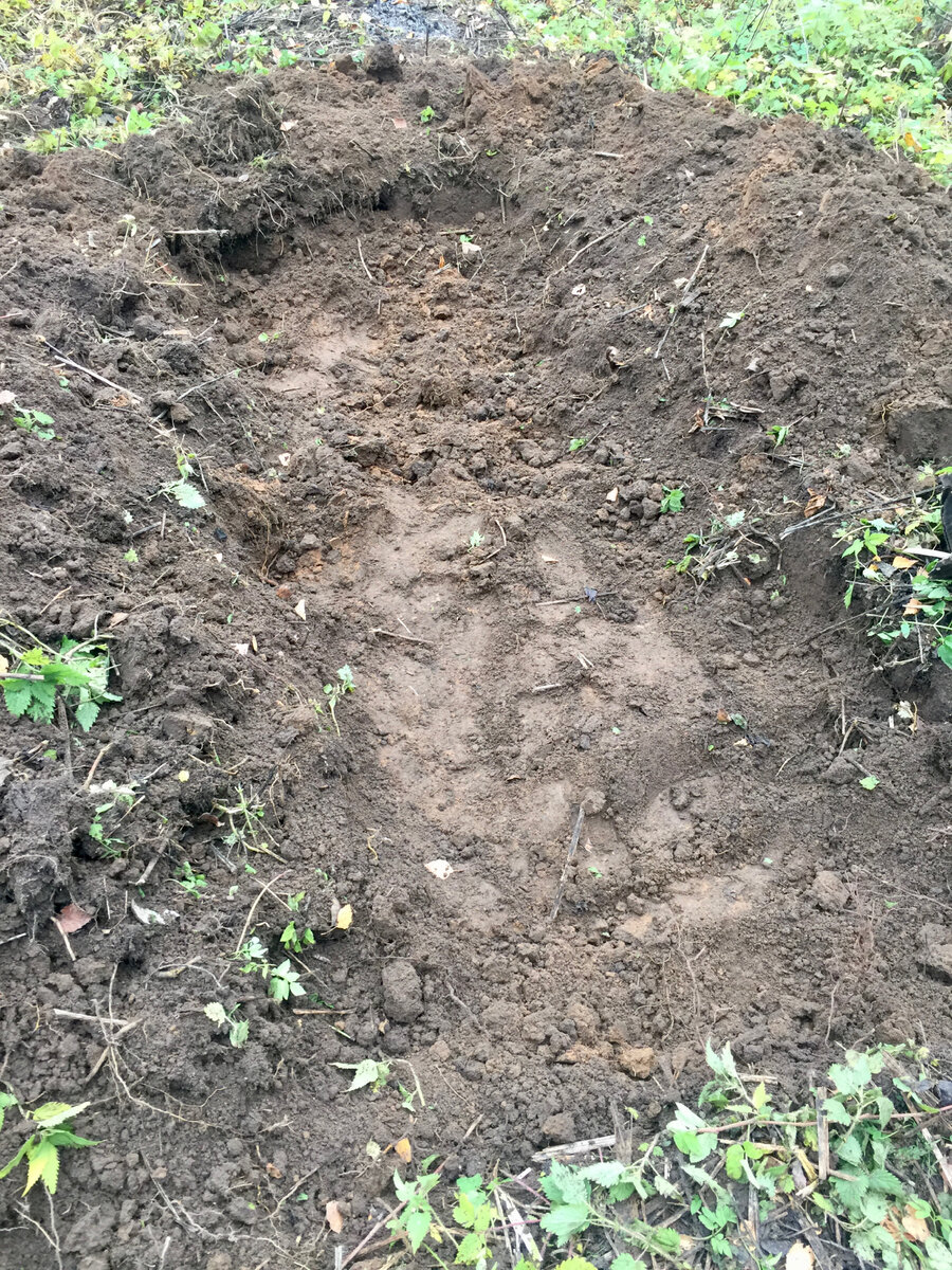 Вырыли ямы в глине