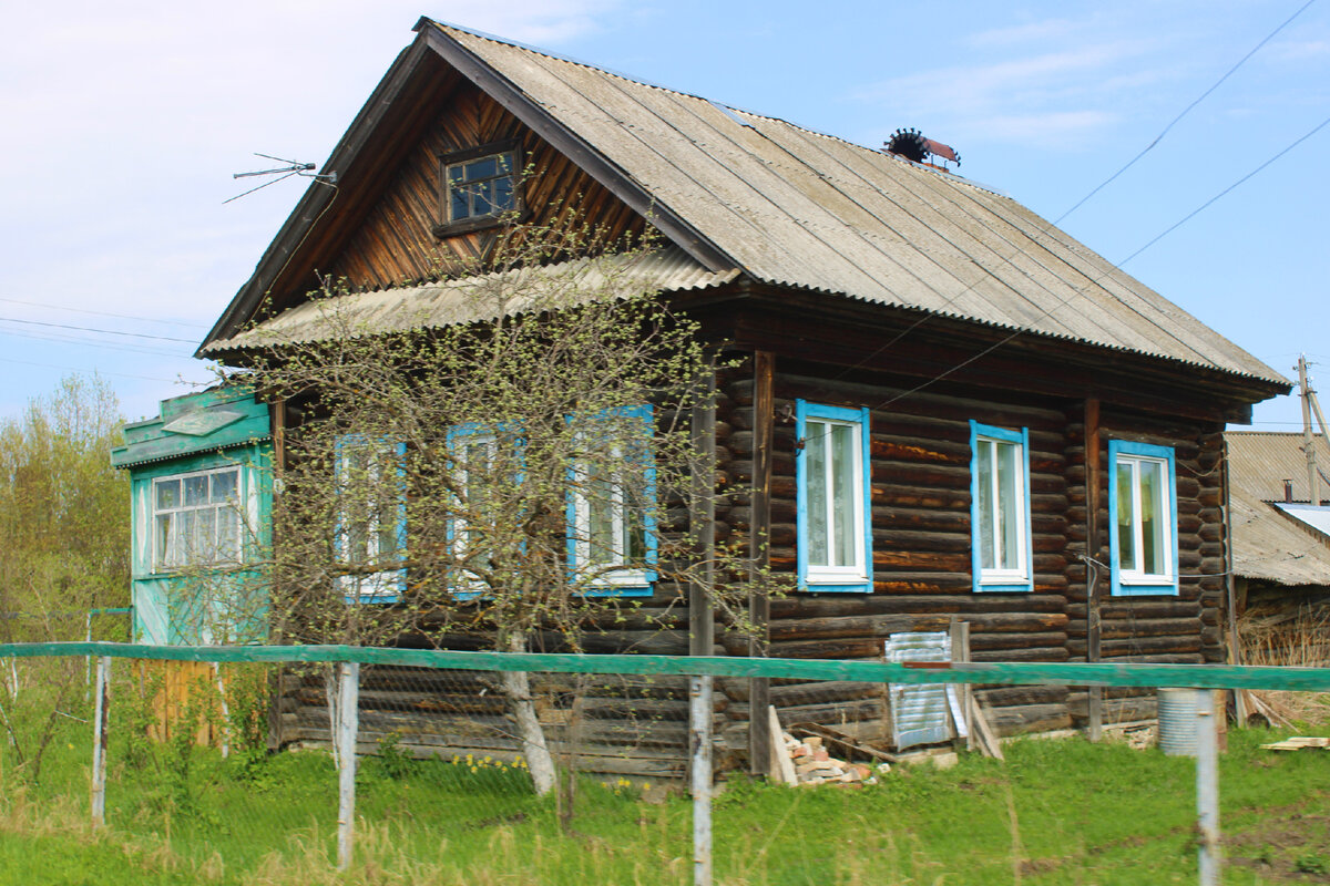 Ну вот, приехали в Шеманиху Нижегородской области, а дом моих родных  заброшен и превратился в небытие | Под зонтиком | Дзен