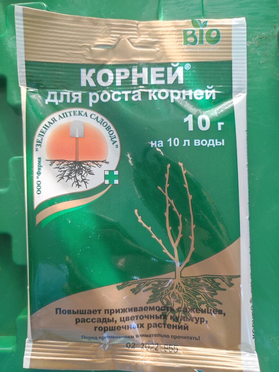 Фото автора, упаковка препарата Корней, май 2022 г.