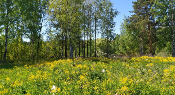 Источник фото: Автор - агентство-партнер - www.globallookpress.com