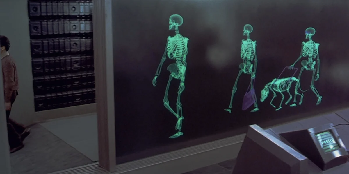 Фото из свободных источников.