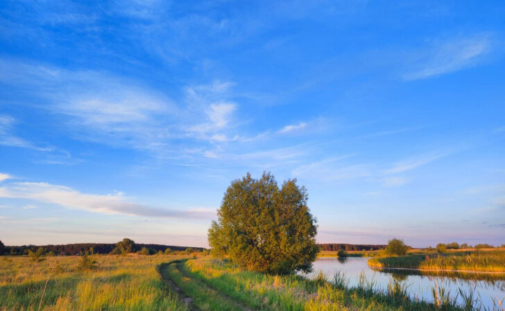    Курская область занимает 4 место в экологическом рейтинге