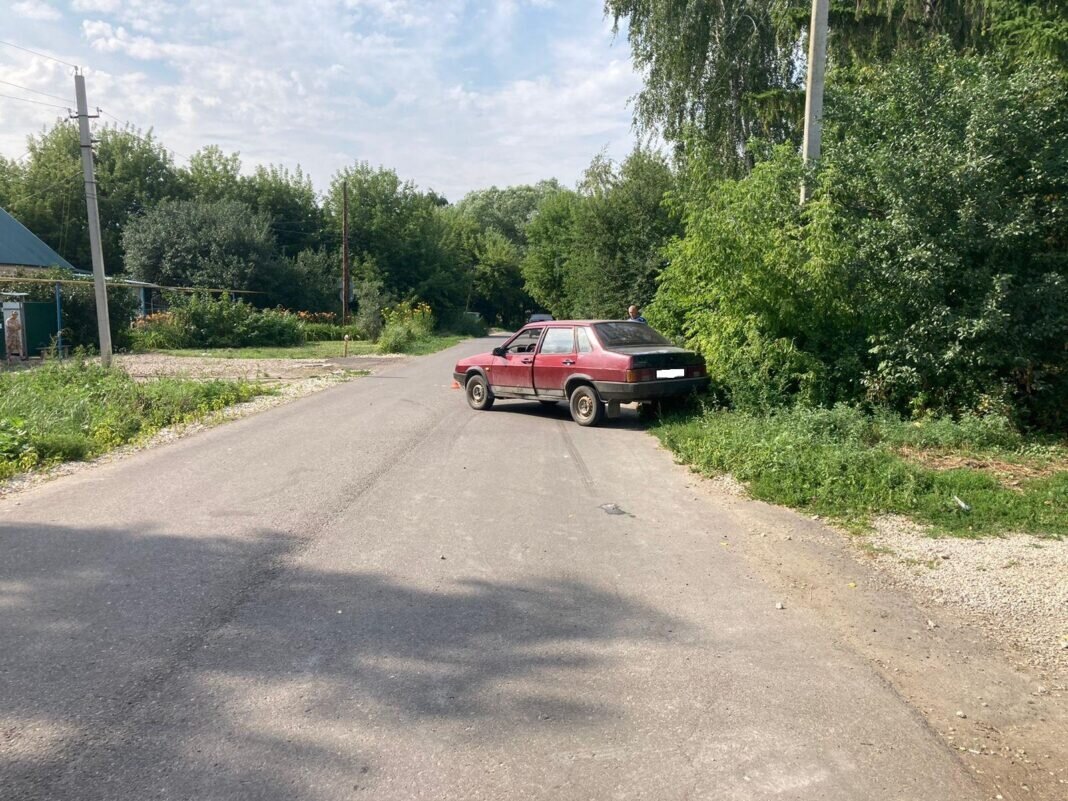    Фото с сайта Госавтоинспекции Рязанской области