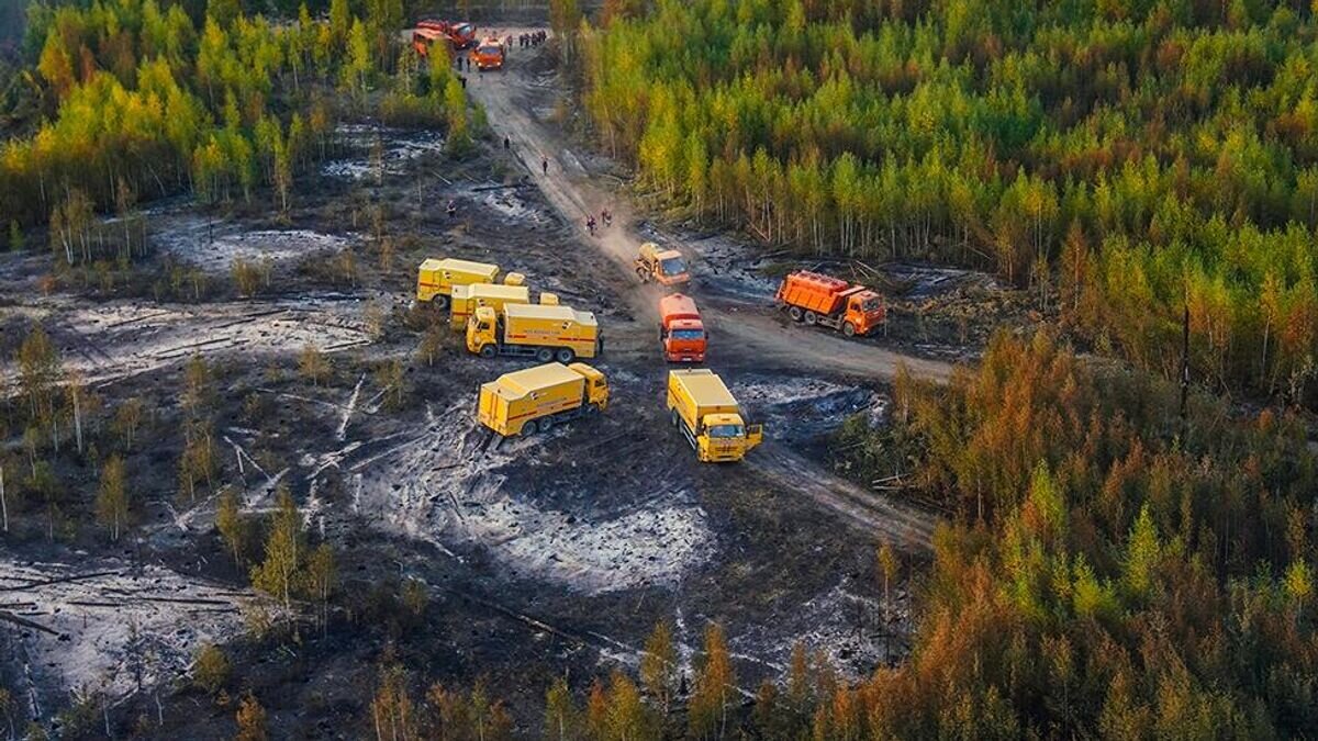    Спецтехника противопожарной службы МЧС РФ во время тушения природного пожара в Рязанской области© РИА Новости / Пресс-служба Комплекса городского хозяйства города Москвы