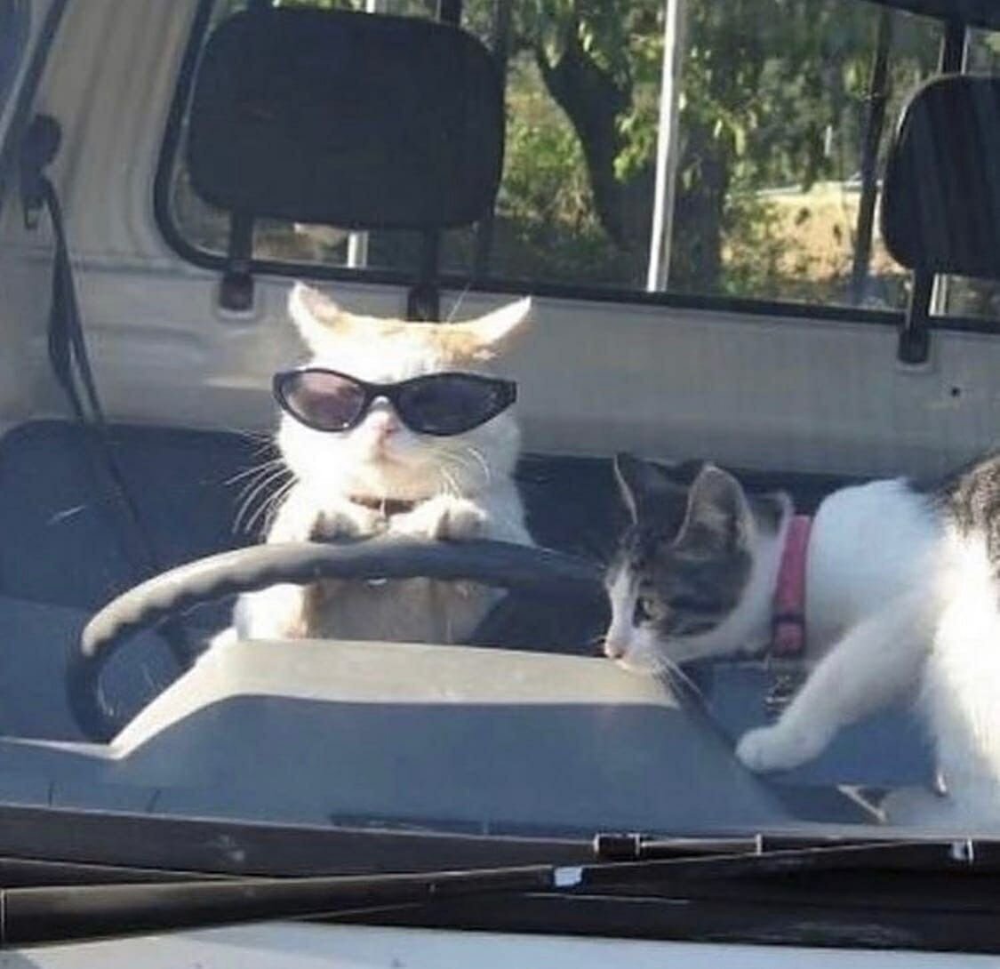 Наглядный пример осознанного существа, который правит корабль своей жизни к берегам гармонии и свободы)