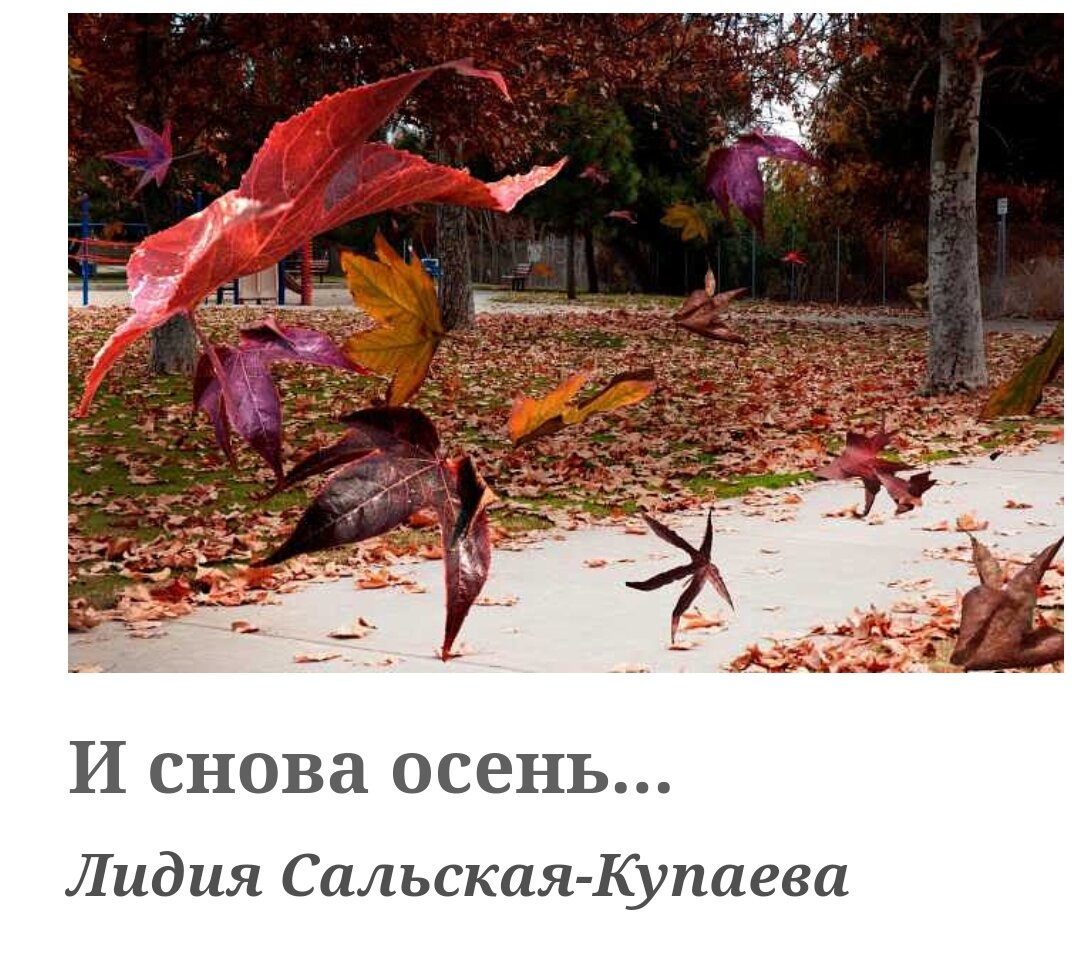 Wind leaves. Лист на ветру. Осенний ветер. Осенние листья на ветру. Листья в воздухе.