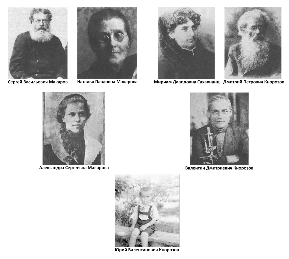 Фото: Ершова Г. Последний гений XX века. Юрий Кнорозов: судьба ученого