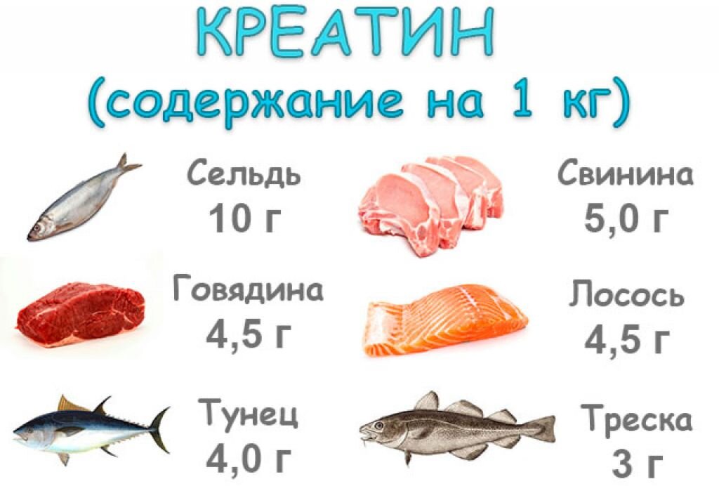 Белок в селедке. В каких продуктах содержится креатин. Продукты содержащие креатин. Продукты богатые креатином. Креатин содержится в продуктах.