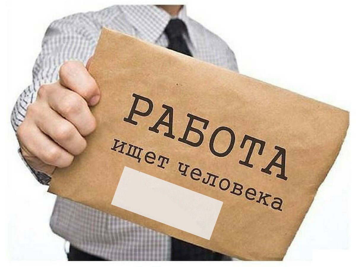 Рынок труда: приходите за работой! | Абакан 24|Новости|Информационный канал  | Дзен