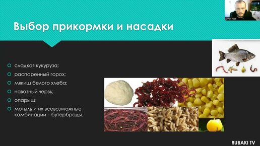 Донка на карася с кормушкой схема картинки