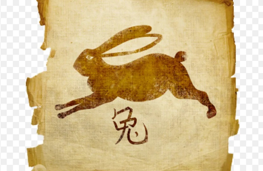 Знак зодиака год кролика