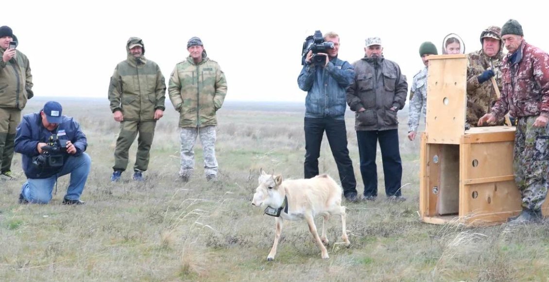 Экологический туризм в Астраханской области