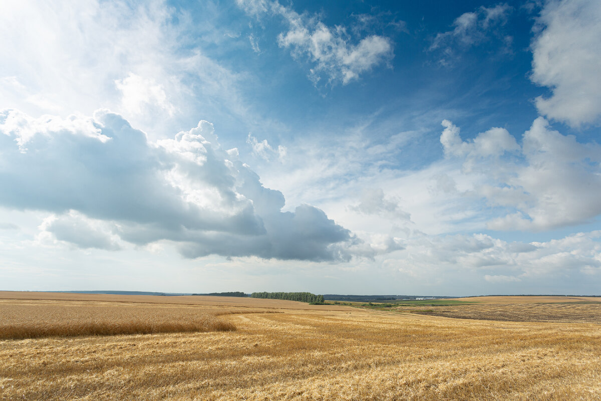 Canon EOS 5D Mark III, 1/125 сек., f/11, ISO 100, 17 мм