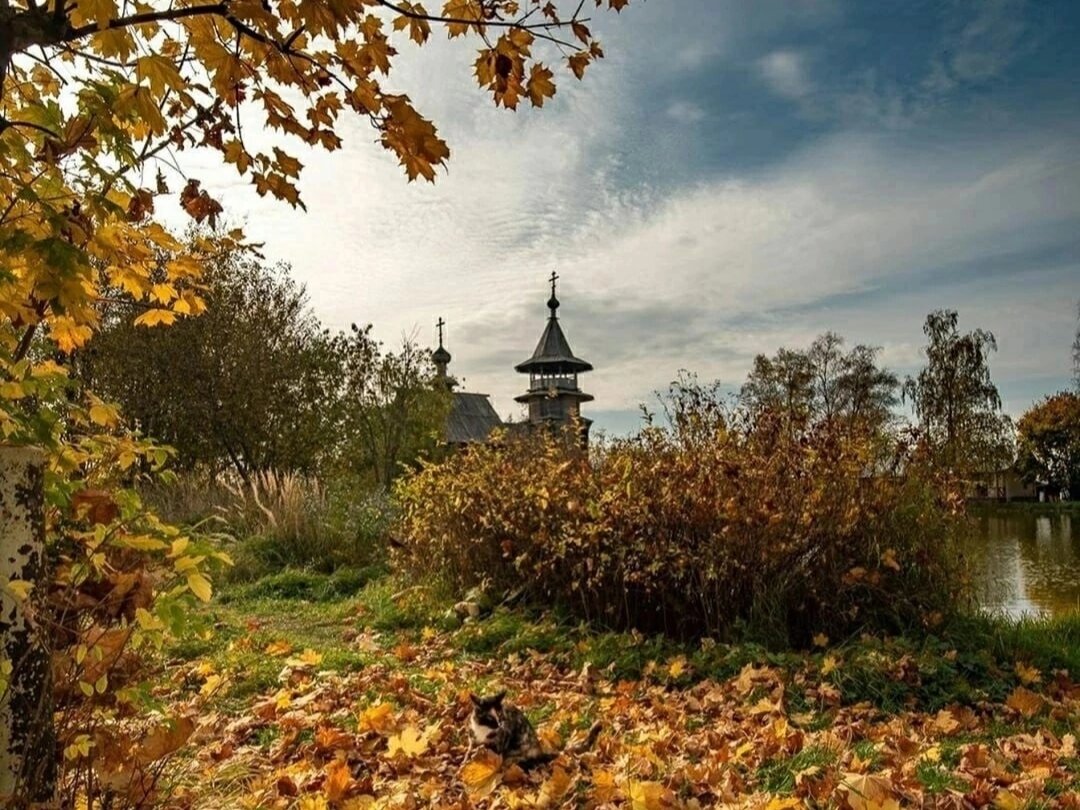 фото взято из открытых источников