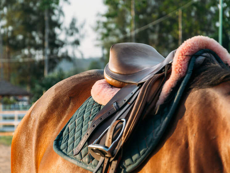     Изображение от topntp26 на Freepik