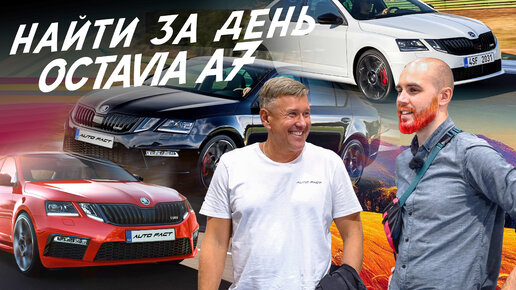 НАЙТИ ЗА ДЕНЬ ЖИВУЮ SKODA OCTAVIA A7! АВТОПОДБОР #autofact