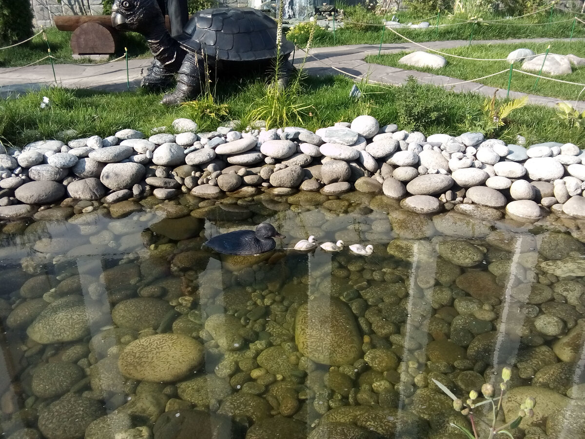 Просто красивое фото автора