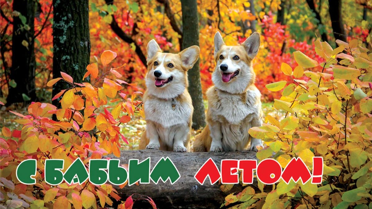 Фото: Весь Искитим