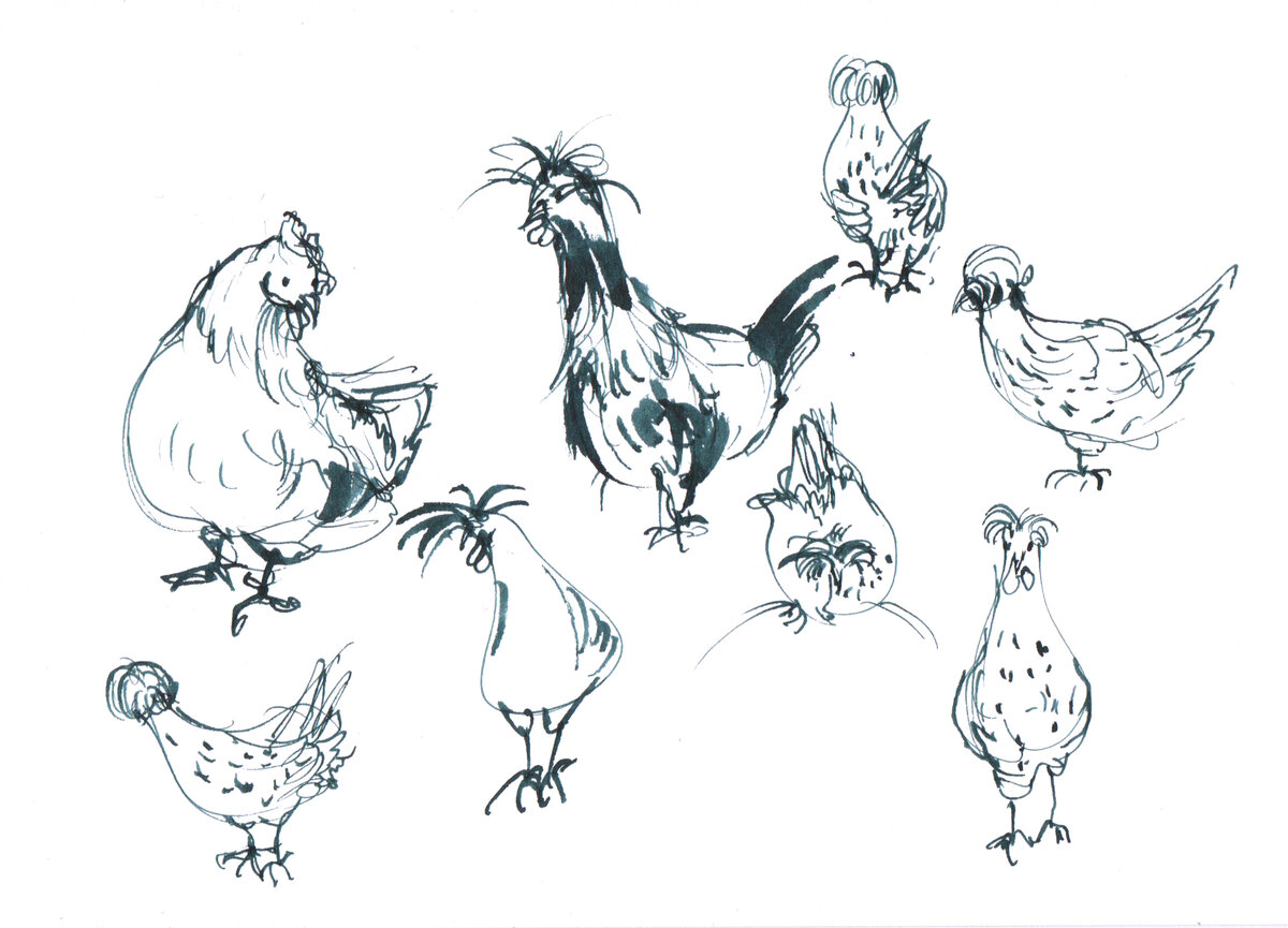 Наброски хохлатых курочек с натуры. Рисуя всё, что попалось тебе на глаза, ты создаёшь с