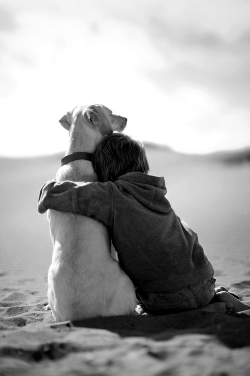 Собака доверять должна вам во всём. Источник фото: dogtime.com 