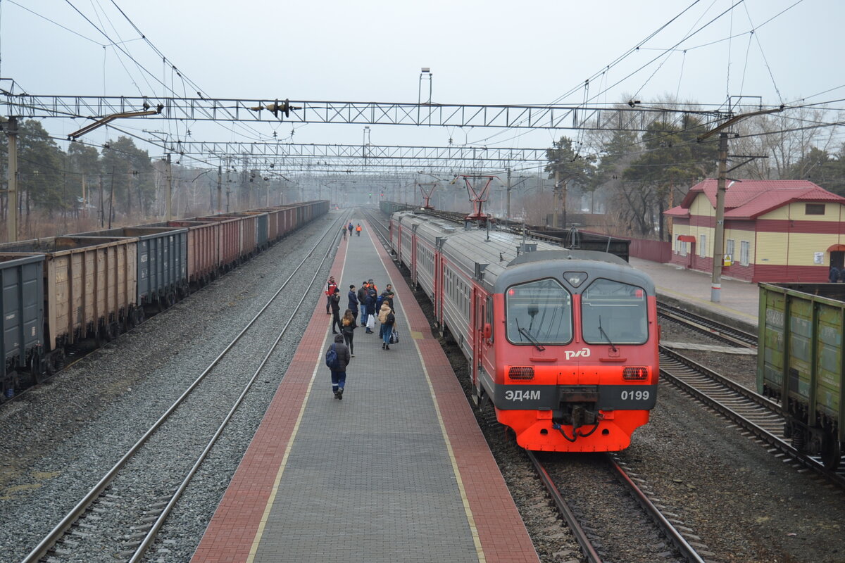 Поездка на электричках в село Боровское до станций Катайск. Весна, гуси,  булочка, | Дон Кихот | Дзен