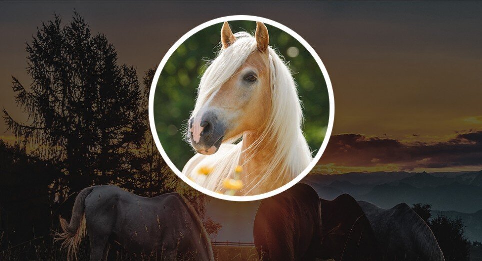 Источник: Professionali.ru      