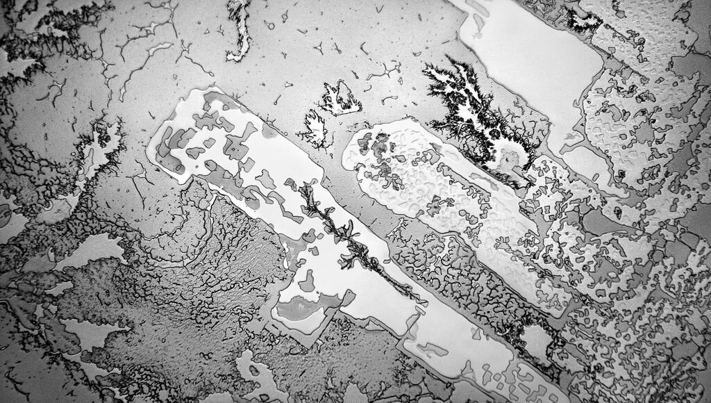 встреча после долгой разлуки