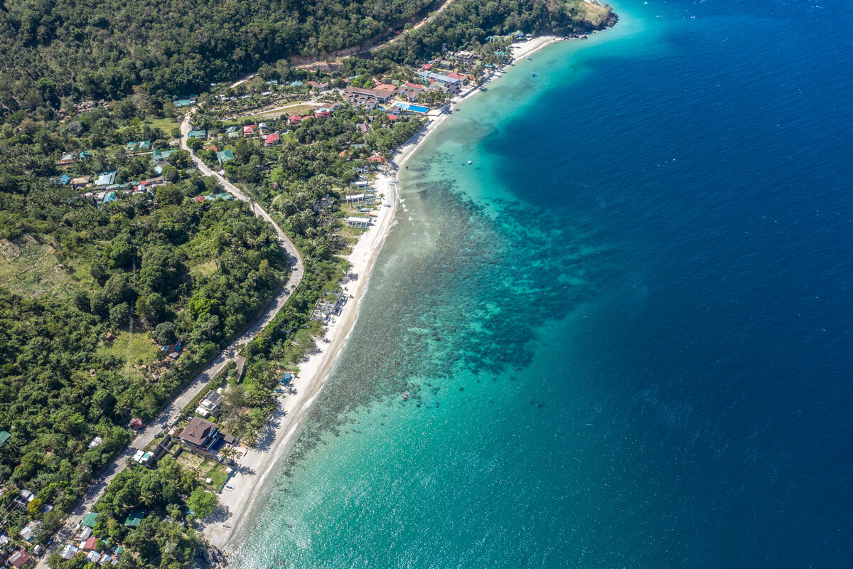 Talipanan turtle reef