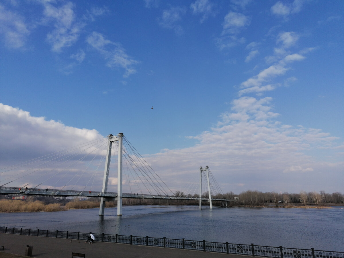 Вантовый мост