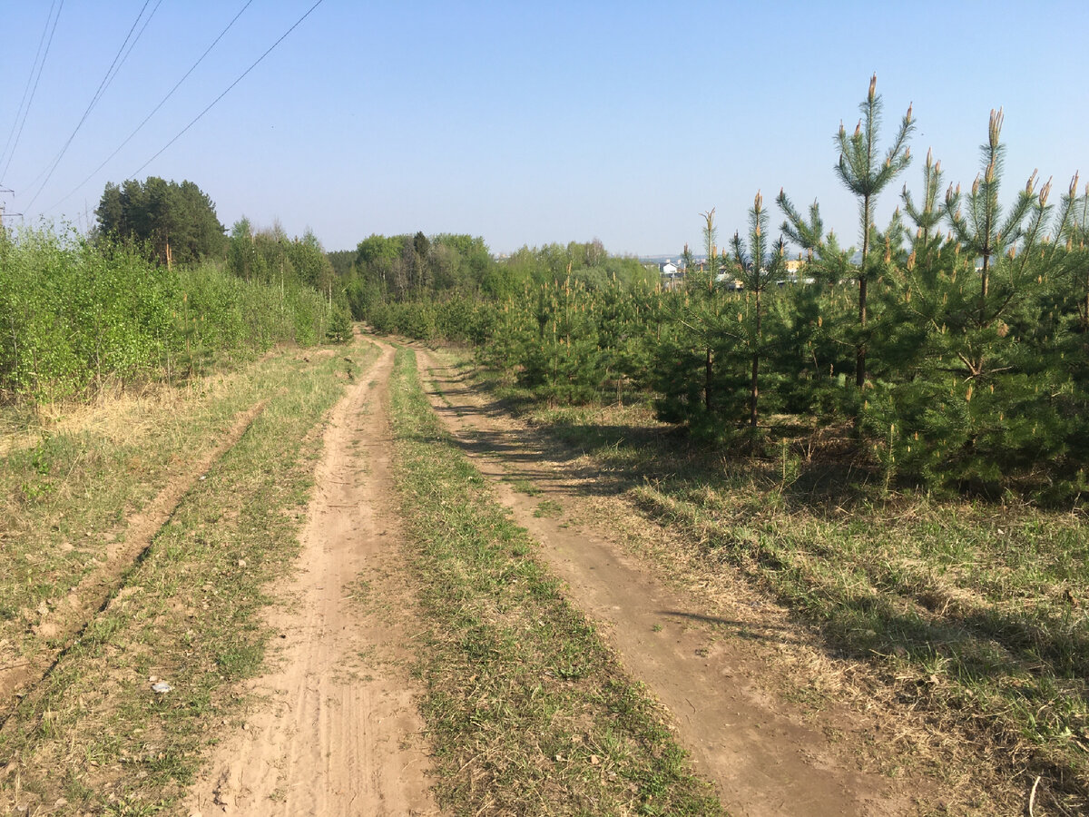 Вдали виднеется наш посёлок 