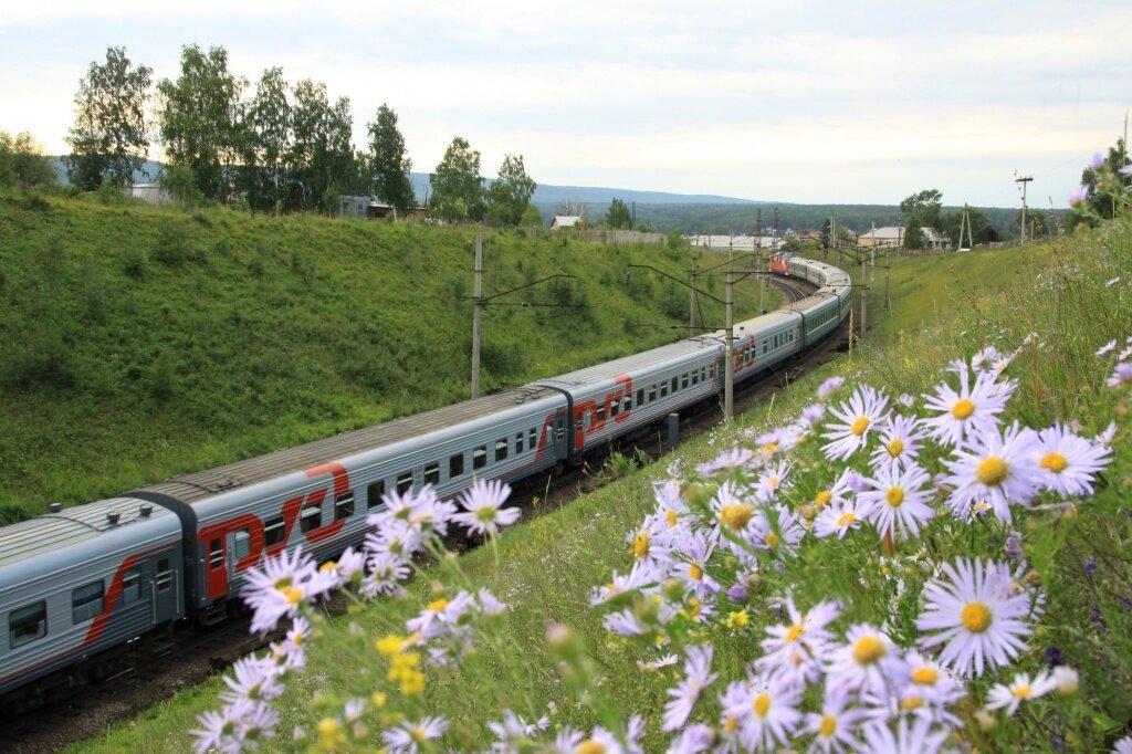 Яндекс,картинки