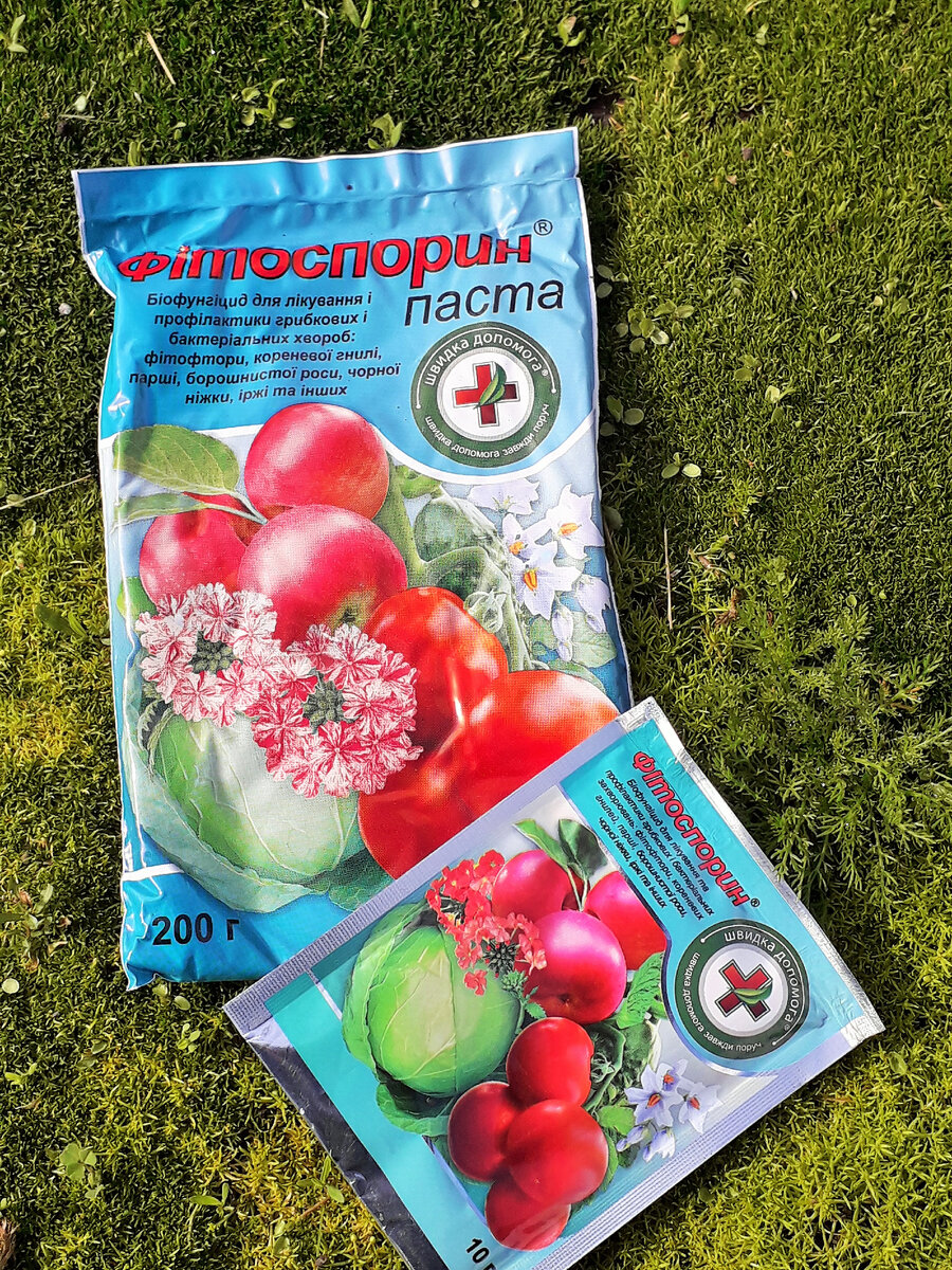 Обязательно обеззараживаем грунт!