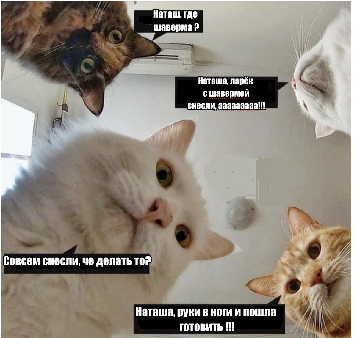 Мем сделан на сайте https://www.meme-arsenal.com/create/template/2299773